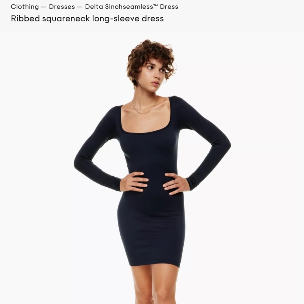 Aritzia sinchseamless dress